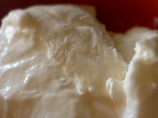 best quality yogurt >